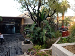 Jade Bar at the Sanctuary on Camelback, Phoenix, AZ