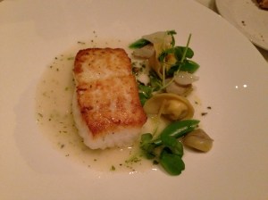 Sepia's halibut